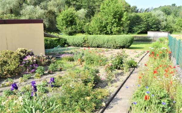 Immobilie in Freden (Leine) - Hofstelle mit bis zu 6ha Land-Pferdehaltung/Hofcafe´/2-4 WE alles denkbar - Bild 4