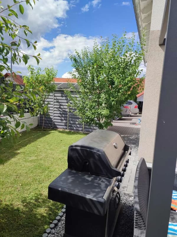 Immobilie in Gabsheim - Freistehendes Einfamilienhaus in attraktiver Lage zwischen Mainz und Alzey - Bild 3