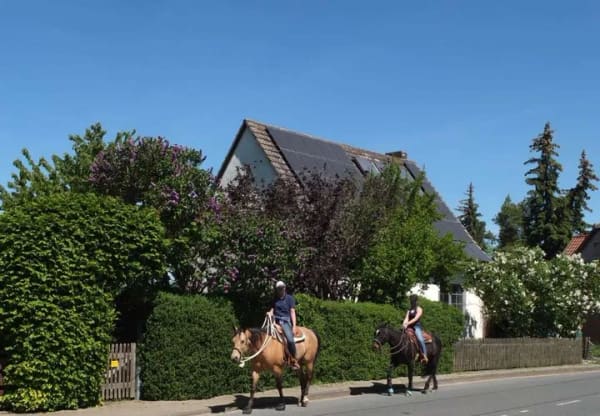 Immobilie in Uehrde - Familienhaus auf dem Lande sehr ruhige Lage am Naturschutzgebiet/Feldrand - Bild 0