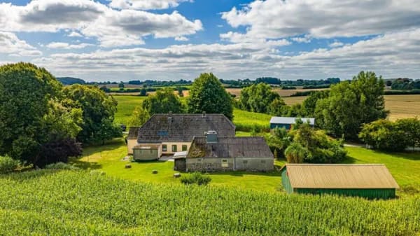 Immobilie in Taarstedt - Resthof mit Einliegerwohnung und Hauskoppel in Alleinlage - Bild 1