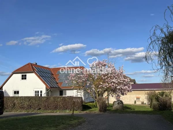 Immobilie in Frellstedt - Einfamilienhaus freistehend in Frellstedt - Bild 3