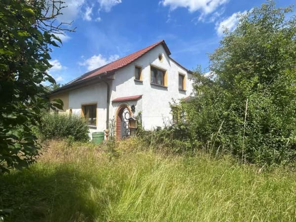 Immobilie in Grimma - Großzügiges EFH mit 1.176 m² Grundstück, Scheune, Garage und Sanierungspotenzial - Bild 1