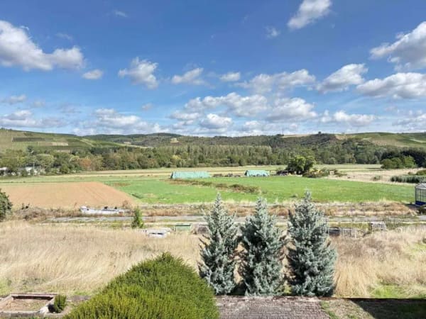 Immobilie in Merxheim - Gemütliches Einfamilienhaus mit großem Grundstück und tollem Weitblick - Bild 3