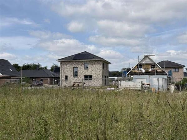 Immobilie in Kastorf - Junges Gemüse wartet auf Fertigstellung  - Bild 4