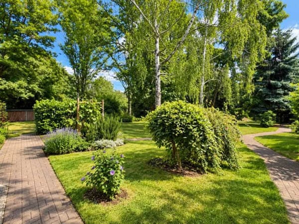 Immobilie in Neukieritzsch - Einfamilienhaus mit 3.235 m² Grundstück inmitten einer entstehenden Seenlandschaft!!! - Bild 2
