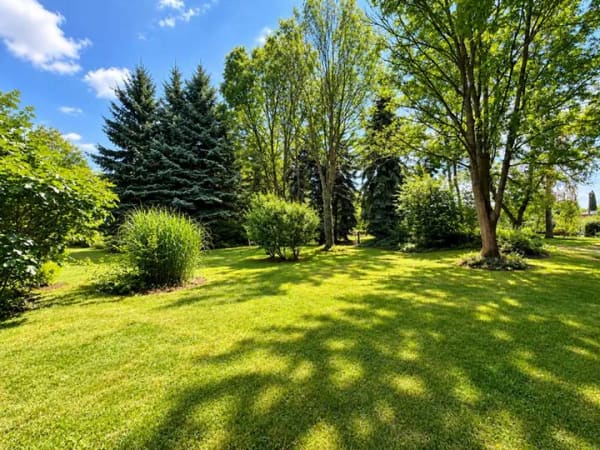 Immobilie in Neukieritzsch - Einfamilienhaus mit 3.235 m² Grundstück inmitten einer entstehenden Seenlandschaft!!! - Bild 4
