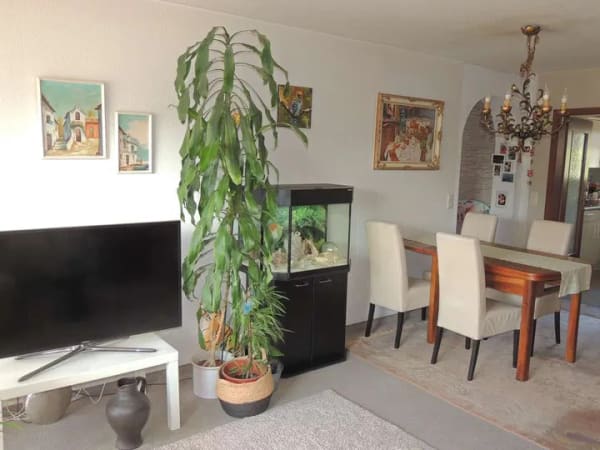 Immobilie in Gruibingen - Am Ortsrand mit Aussicht und Ruhe, 3 - Zimmer Eigentumswohnung - Bild 4