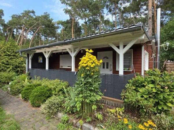 Immobilie in Schwielochsee - Kaufen - Einziehen - Baden gehen: Freizeitbungalow am Schwielochsee - Bild 0