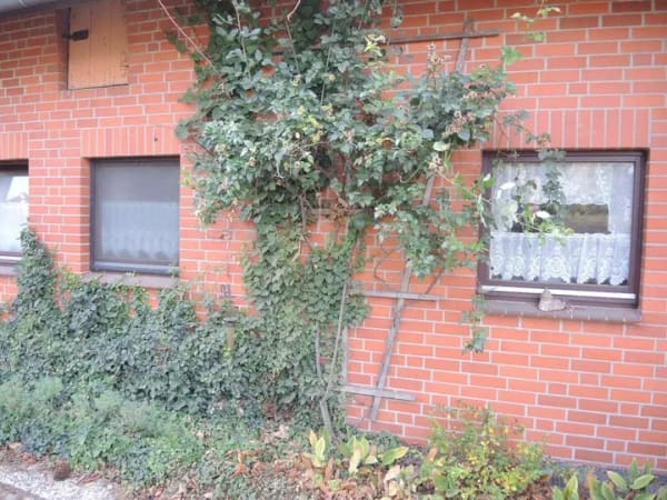 Immobilie in Lemgow - Landhaus funktional und Solide im Wendland - Bild 3