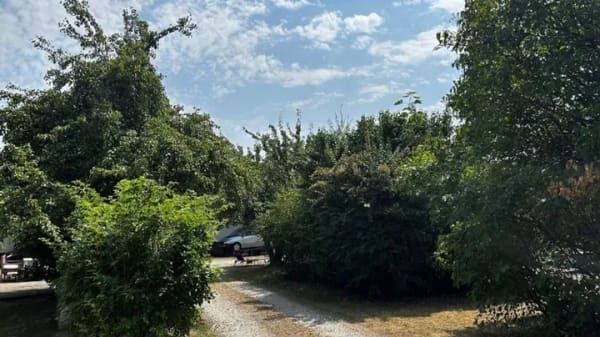Immobilie in Hilgertshausen-Tandern - Einzigartig großes Grundstück mit Einfamilienhaus und div. Nebengebäuden!!! - Bild 1
