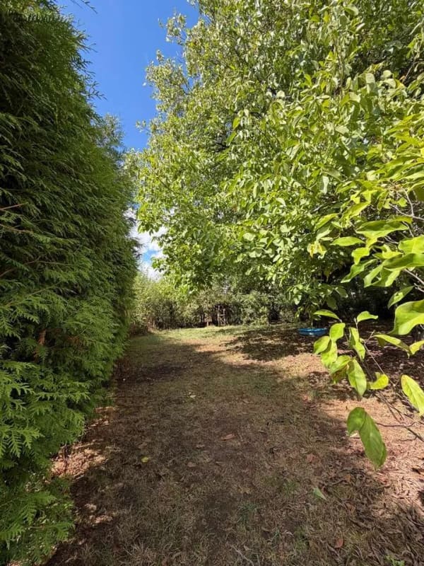 Immobilie in Trippstadt - Charaktervolles Zuhause im Pfälzerwald – Gepflegtes Einfamilienhaus mit besonderem Flair - Bild 2