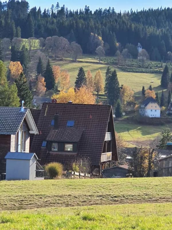 Immobilie in Feldberg - Tolles 3-4 Familienhaus in toller Lage - Bild 1