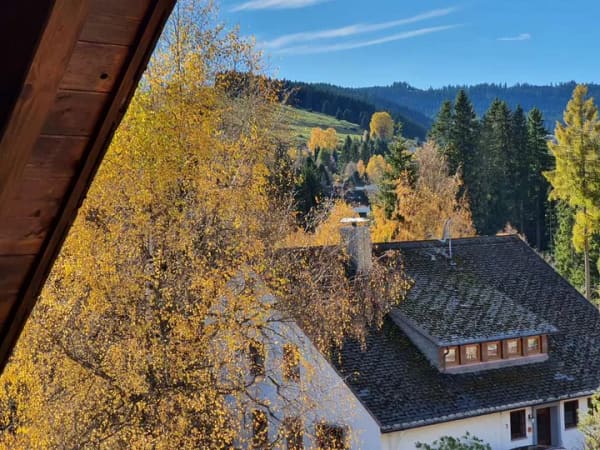 Immobilie in Feldberg - Tolles 3-4 Familienhaus in toller Lage - Bild 3