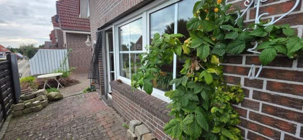 Immobilie in Weener - Klein, fein & mitten in Weener - charmante Doppelhaushälfte mit Terrasse & Garage - Bild 4