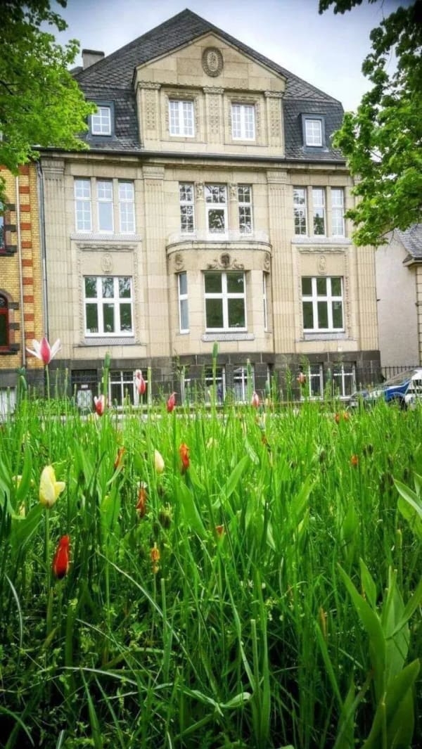 Immobilie in Mayen - Historisches Gebäude mit Geschichte in Frontlage am St.-Veit-Park in Mayen - Bild 1