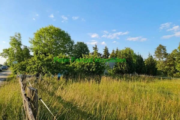 Immobilie in Belgern-Schildau - massiver Bungalow - Wochenendgrundstück - 2.930 m² - gute Ausstattung - Bild 2