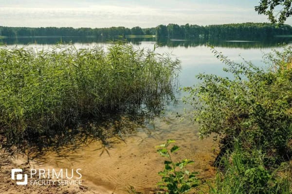 Immobilie in Lindow (Mark) - Erholungsgrundstück direkt am Gudelacksee mit Wochenendhaus in Klosterheide - Bild 3