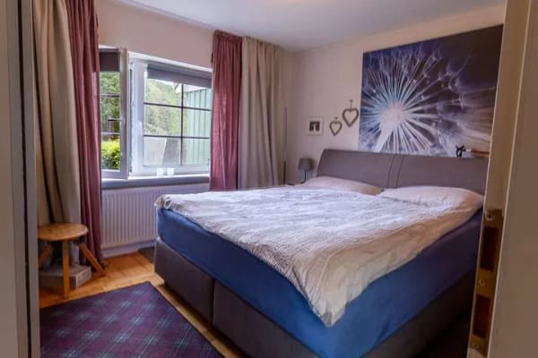 Immobilie in Kronsgaard - Großzügiges Einfamilienhaus mit Einliegerwohnung und vielseitigen Nutzungsmöglichkeiten in Feldrandl - Bild 4