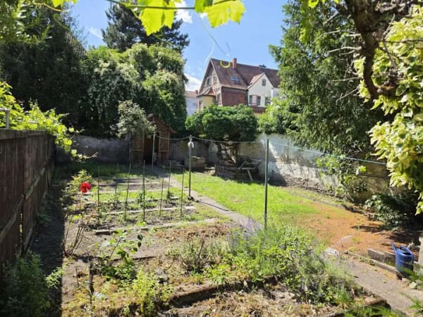 Immobilie in Frankenthal (Pfalz) - Langjährig vermietete Erdgeschosswohnung mit Terrasse und Gartenanteil - Bild 1