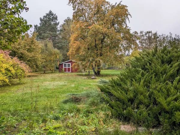 Immobilie in Schenkendöbern - Attraktives Wohnhaus mit herrlichem Grundstück in idyllischer Lage - Bild 2
