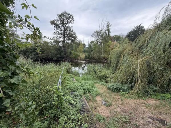 Immobilie in Nienburg (Saale) - Arbeiten und Wohnen unter einem Dach – mehr Zeit für die Familie statt langer Arbeitswege - Bild 4