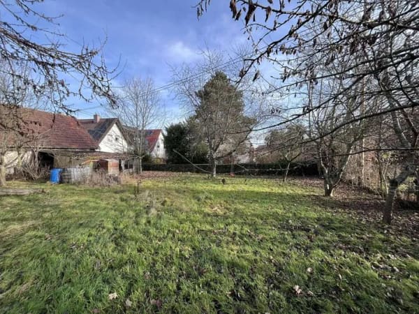 Immobilie in Neuhausen - Neuhausen: Ehemaliges Bauernhaus mit Ausbauscheune und geschütztem Naturgarten - Bild 3