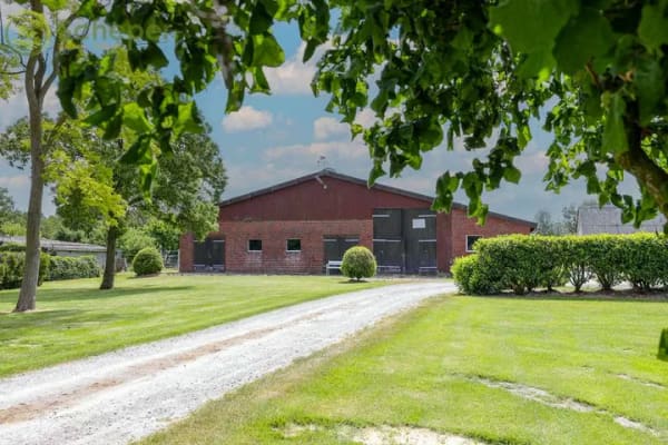 Immobilie in Belum - Modernisierter Resthof in Belum-Kehdingbruch mit Grünland und optional 28 ha Ackerland - Bild 2