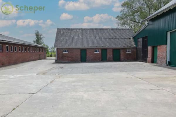 Immobilie in Belum - Modernisierter Resthof in Belum-Kehdingbruch mit Grünland und optional 28 ha Ackerland - Bild 3