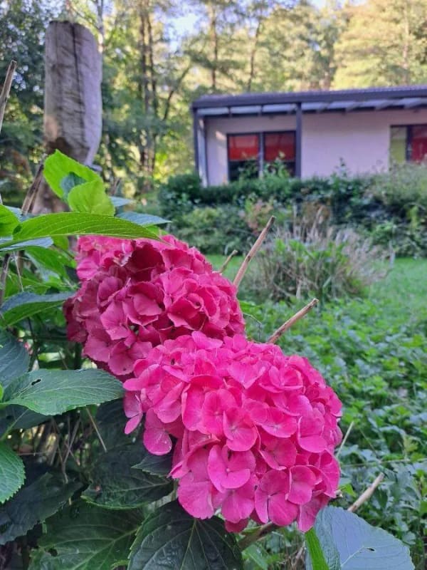 Immobilie in Friedrichroda - LUXURIÖSES FERIENHAUS INMITTEN DER NATUR - KOMPLETT EINGERICHTET - Bild 2