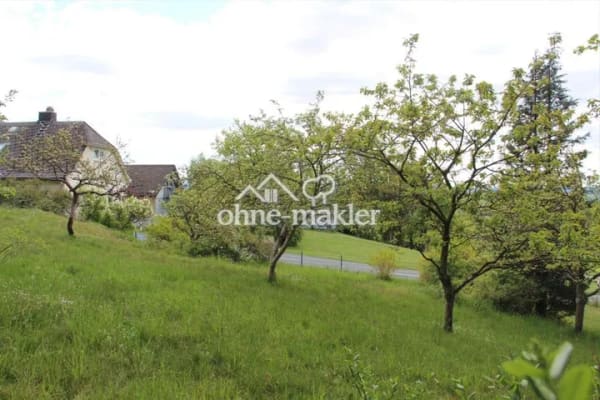 Immobilie in Selbitz - Einfamilienhaus freistehend in Selbitz - Bild 4
