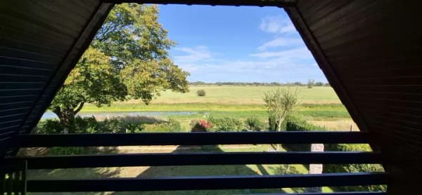 Immobilie in Langendorf - Urlaubsfeeling im Nurdachhaus mit Blick in die Elbtalaue - Bild 1
