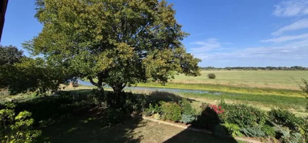 Immobilie in Langendorf - Urlaubsfeeling im Nurdachhaus mit Blick in die Elbtalaue - Bild 2