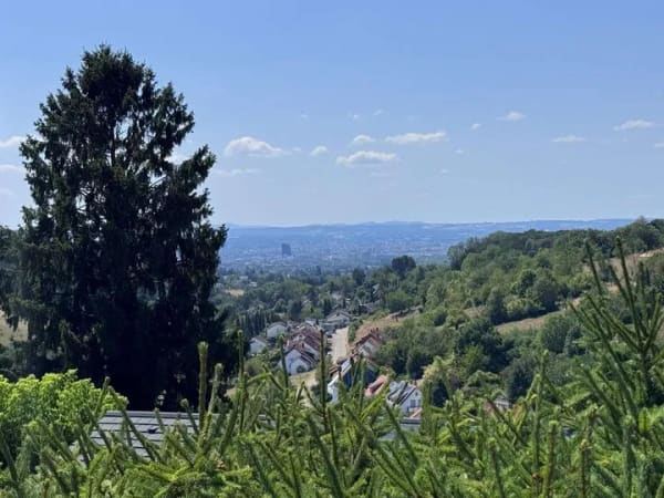 Immobilie in Inzlingen - Einfamilienhaus mit Panoramablick auf Basel in Inzlingen - Bild 1