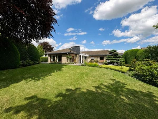 Immobilie in Wettringen - Top-Lage und preislich überschaubar? Geht doch... Bungalow in Wettringen - Bild 2