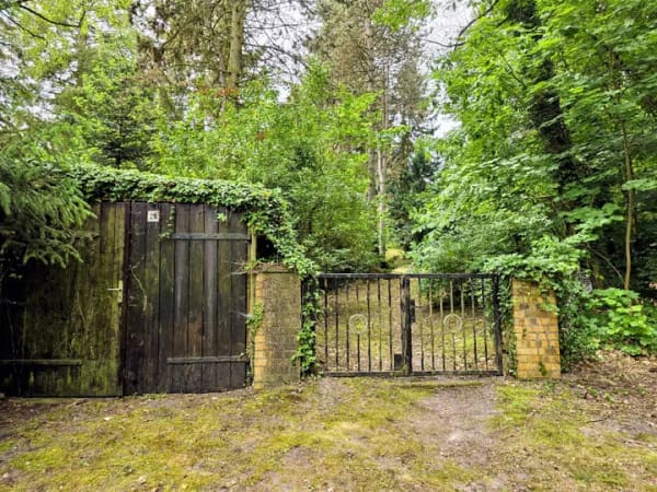 Immobilie in Bad Schmiedeberg - Kleines feines aber Wochenendhaus mit Potential auf großem Grundstück im Naturpark Dübener Heide - Bild 1