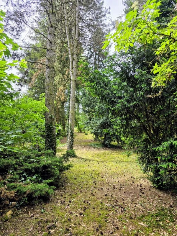 Immobilie in Bad Schmiedeberg - Kleines feines aber Wochenendhaus mit Potential auf großem Grundstück im Naturpark Dübener Heide - Bild 3