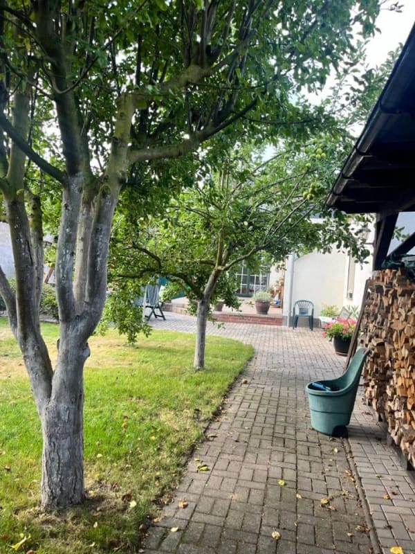 Immobilie in Klötze - Gepflegtes Einfamilienhaus in Klötze - Bild 3
