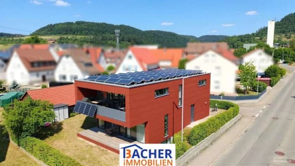 Immobilie in Mühlheim an der Donau - PROVISIONSFREI! Ein Haus (3 Wohnungen), das Maßstäbe setzt! - Bild 1