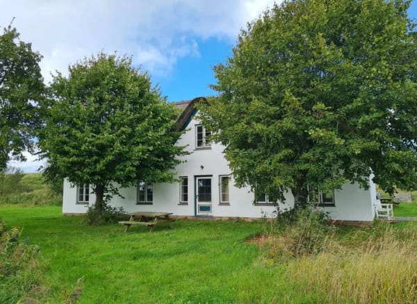Immobilie in Tetenbüll - Landhaus unter Reet  in absoluter Alleinlage - Bild 2