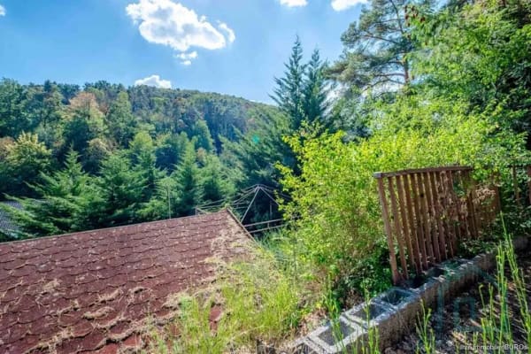 Immobilie in Wachenheim an der Weinstraße - Kleine Doppelhaushälfte statt Eigentumswohnung – ruhig, grün und mit eigenem Grundstück - Bild 1