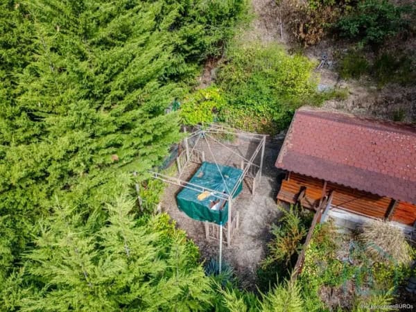 Immobilie in Wachenheim an der Weinstraße - Kleine Doppelhaushälfte statt Eigentumswohnung – ruhig, grün und mit eigenem Grundstück - Bild 3
