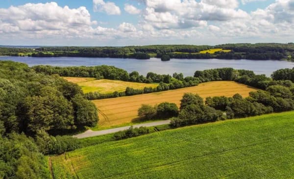 Immobilie in Ahlefeld-Bistensee - Historisch und neu - einmalig kombiniert: Ensemble aus drei Häusern mit über 8.000 m² Grundstück - Bild 4