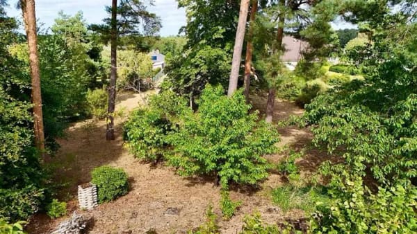Immobilie in Danndorf - Freistehendes Einfamilienhaus mit weitläufigem Garten - Freiraum für Ihre Ideen - sofort verfügbar - Bild 4