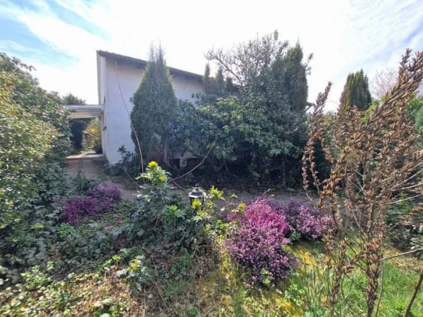 Immobilie in Messel - Messel: Abrissgrundstück - Einfamilienhaus auf großem Grundstück mit Garage - Bild 4