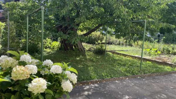 Immobilie in Kämpfelbach - Privat zu verkaufen: Doppelhaushälfte in Bilfingen - Bild 2