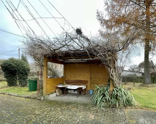 Immobilie in Großharthau - Einfamilienhaus mit großem Grundstück in Großharthau  - Bild 4