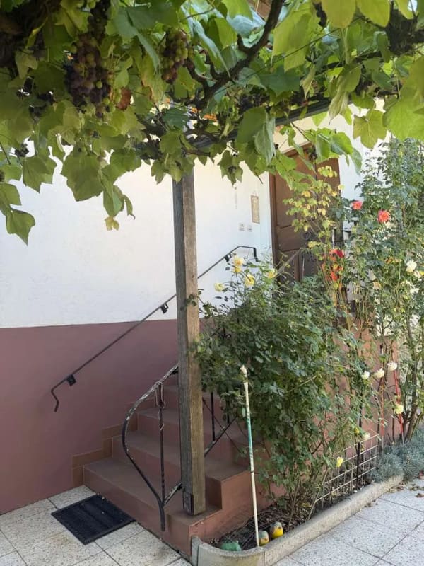 Immobilie in Kutzenhausen - Doppelhaushälfte mit 140 m² Wohnfläche in Kutzenhausen - Bild 1