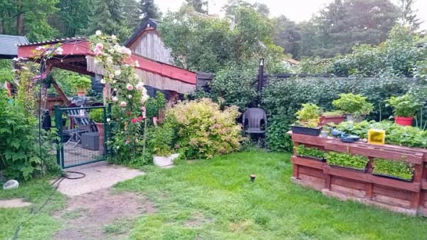 Immobilie in Schorfheide - Naturidylle in Böhmerheide | Bieterverfahren ab 120.000 € | langfristiger Pachtvertrag - Bild 4