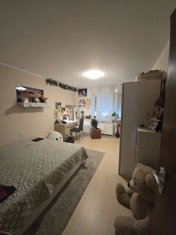 Immobilie in Endingen - Vermietete 4-Zimmerwohnung mit Gartenanteil und Garagenstellplatz am Kaiserstuhl - Bild 2