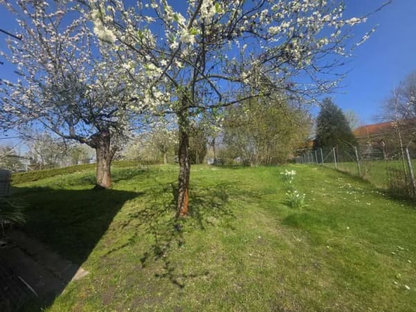 Immobilie in Geithain - Viel Platz für Familie und Ideen - Bild 4
